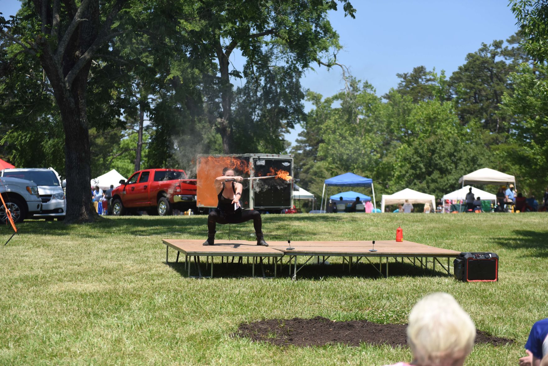 Festival in the Park